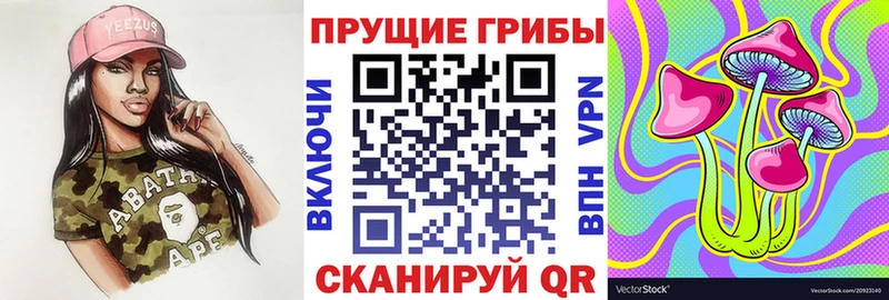 Купить  Куртамыш  Псилоцибиновые грибы GOLDEN TEACHER 